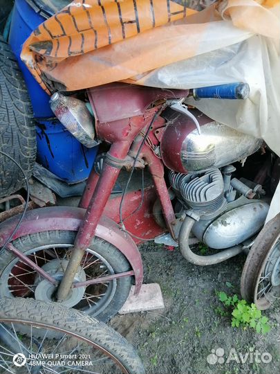 Ява старушка