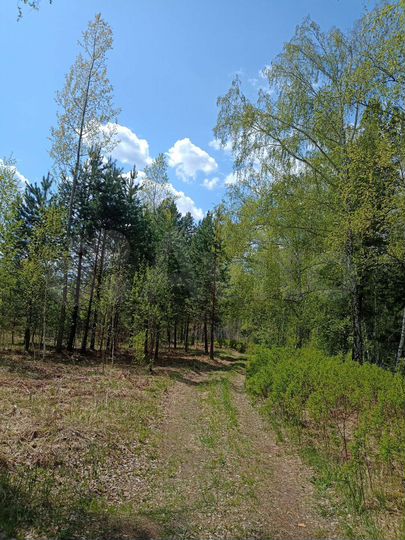 Участок 17 сот. (СНТ, ДНП)