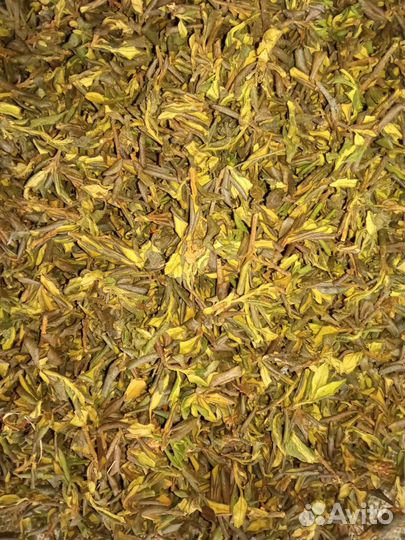 Чай саган дайля