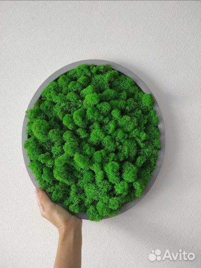 Панно из стабилизированного мха