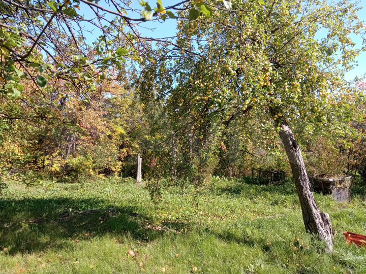 Участок 6 сот. (СНТ, ДНП)