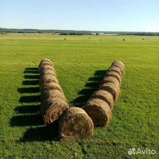 Сено в рулонах и тюках большие объёмы
