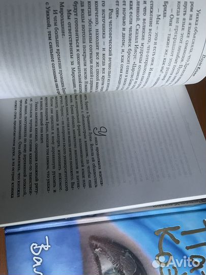 Пауло коэльо