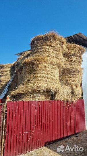 Продается сено