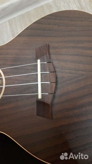 Укулеле концерт