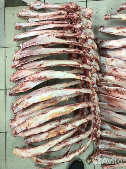 Говяжьи кости на корм собакам и другим животным