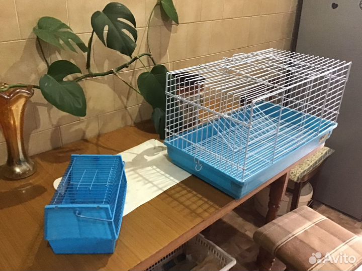 Большая клетка для крыс