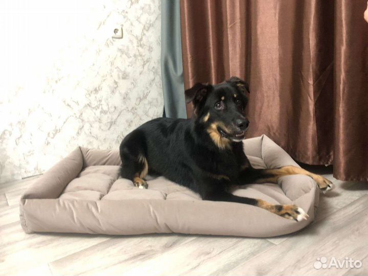 Лежанка для собак