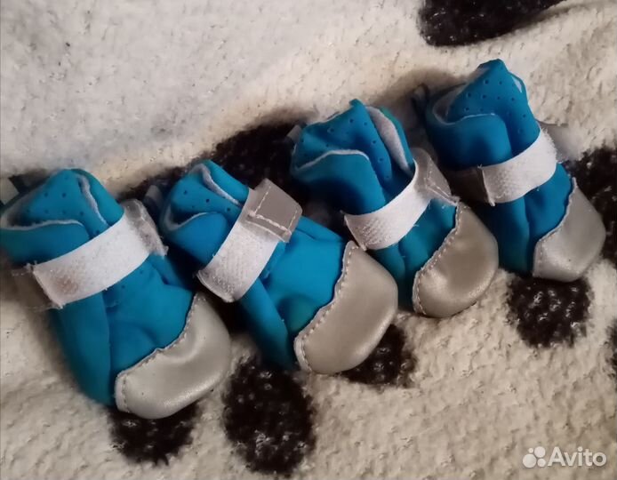 Обувь для животных