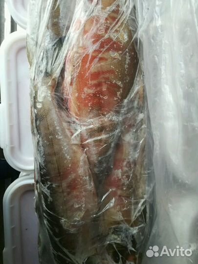 Рыбный Ливер