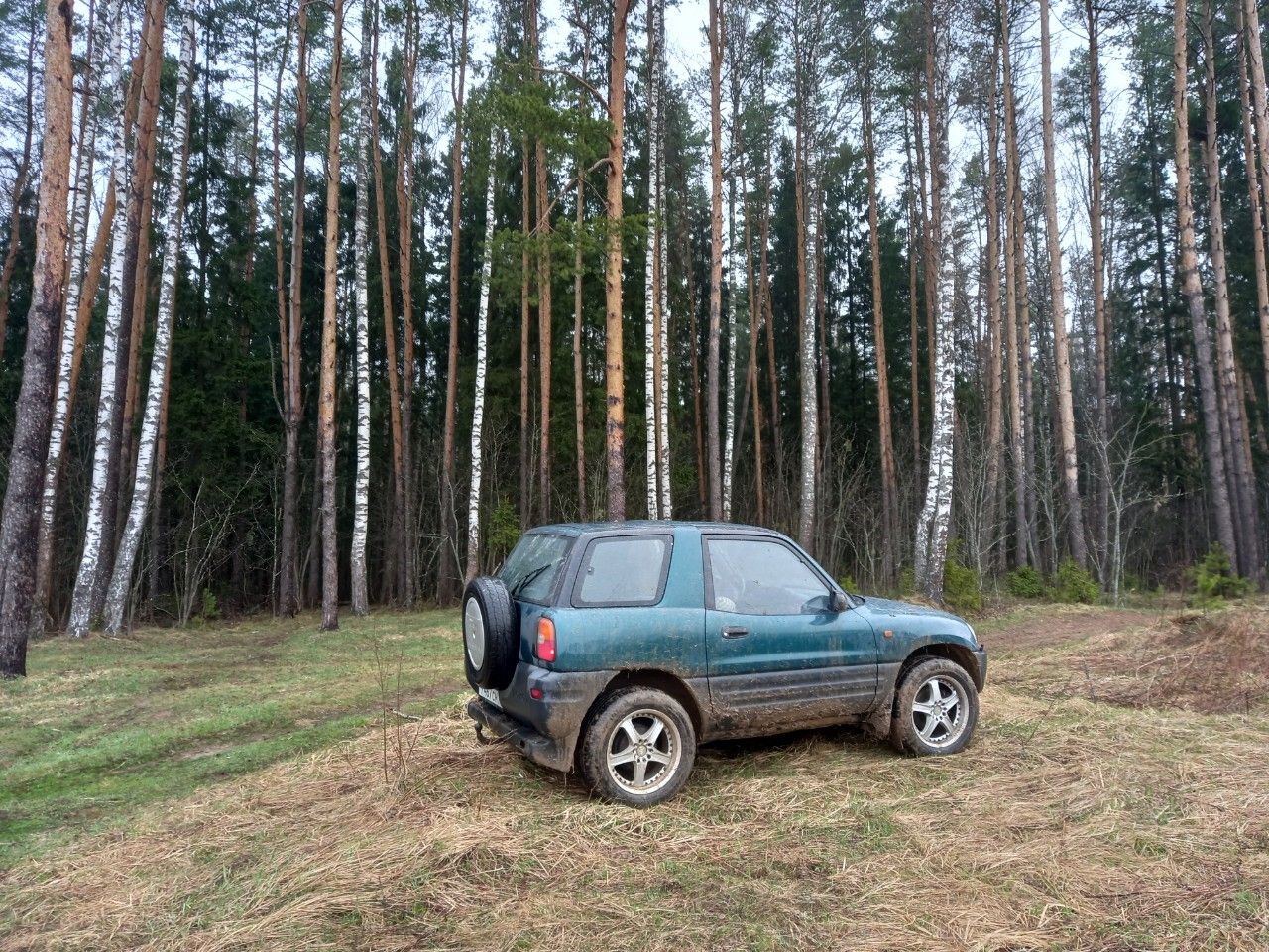 Toyota RAV4: фото владельца