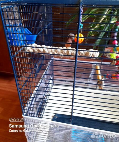 Клетка для попугаев большая savic 65-56-38