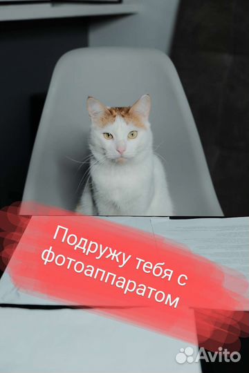 Обучение фотографии