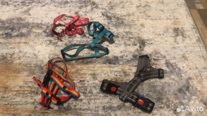 Шлейка для мелких пород собак