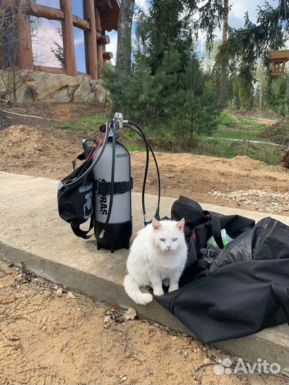 Водолазные работы,водолазный поиск,услуги водолаза