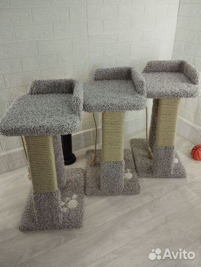 Когтеточка