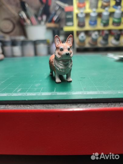 Корги для Олега