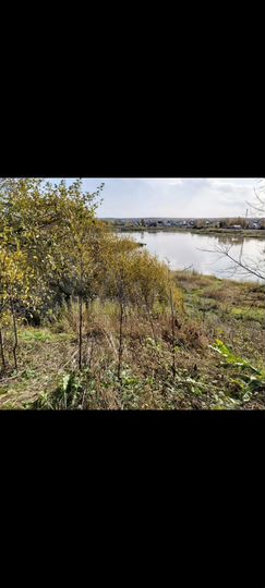 Участок 12 сот. (ИЖС)