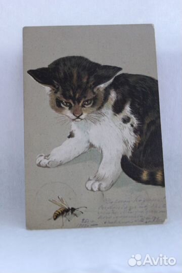 Царизм антикварные,кошка,собака вдавленная 1903