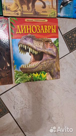 Детская энциклопедия про динозавров и акул 5 штук