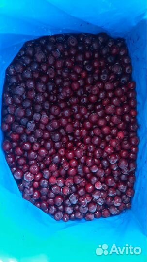 Вишня с костью заморозка