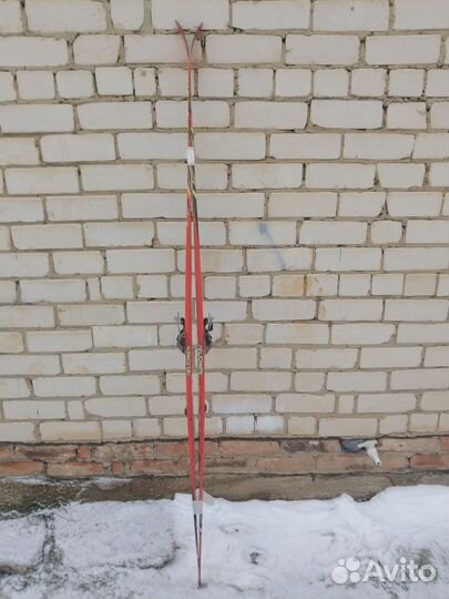 Беговые лыжи