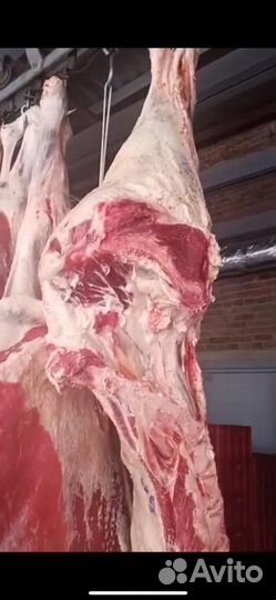 Говядина, мясо говядины, услуги распила