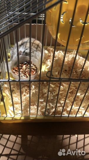 Клетка,колесо и миски для хомячка