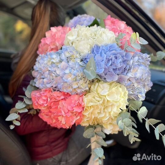 WOW Букеты из Гортензий. Доставка/Самовывоз