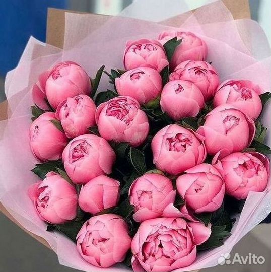 Пионы Букет пионов Доставка цветов