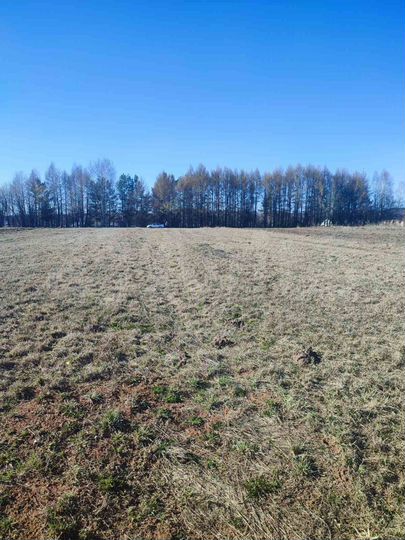 Участок 17,6 сот. (ИЖС)