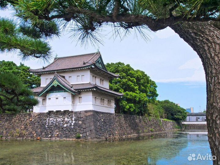 Экскурсия — Токио — Топ-5 символов Токио: живой ра