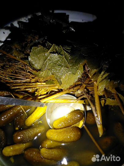 Огурец соленый бочковой