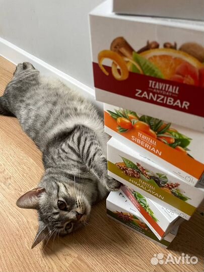 Чай teavitall anyday