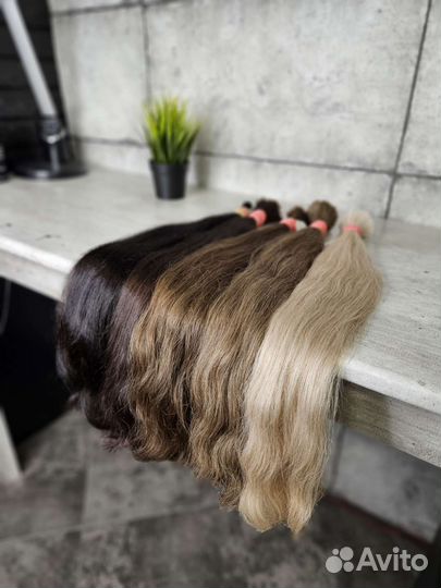 Волосы 60 см. Российский окрас