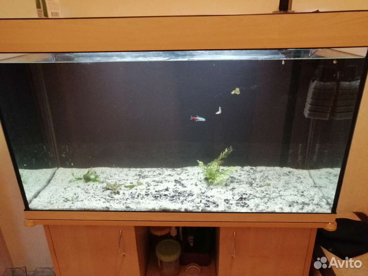 Аквариум 160л с тумбой
