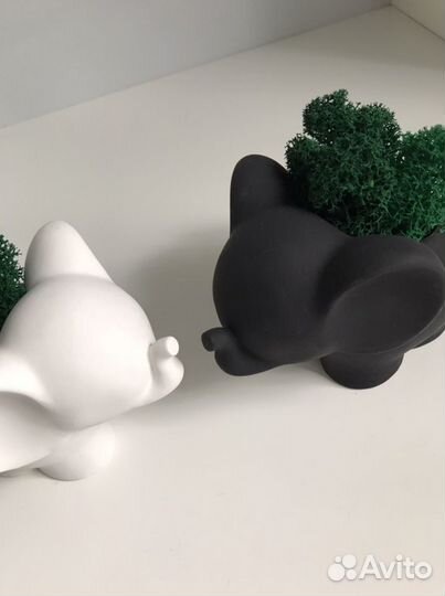 Кашпо слоник+ мох