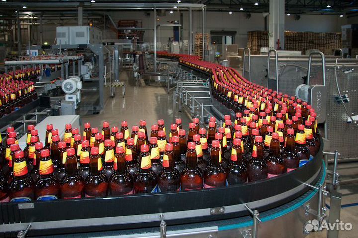 Линия розлива Пива