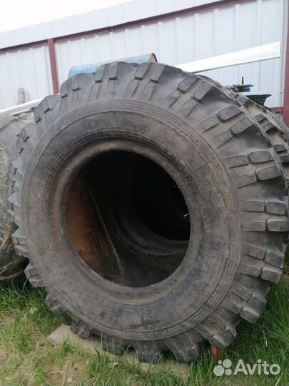 Колёса Урал Омскшина 1200-500-50