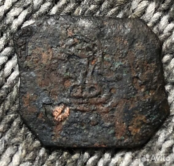 Монеты Чешуйки