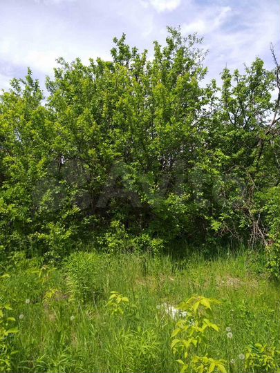 Дача 25 м² на участке 8 сот.