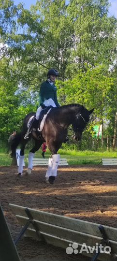 Конные тренировки