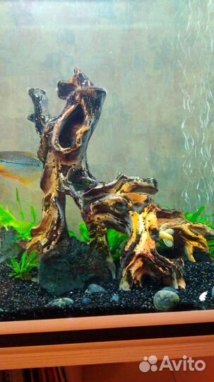 Аквариум Aquatech 288 с тумбой