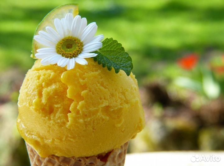 Уникальная франшиза для яркого старта