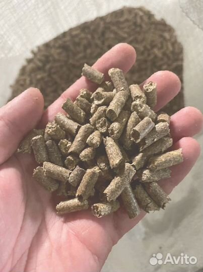 Комбикорм для откорма быков