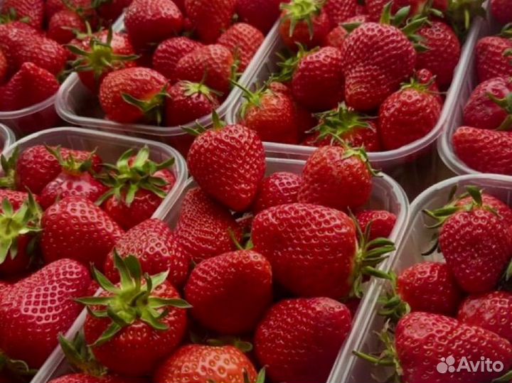 Клубника Крым 6 кг
