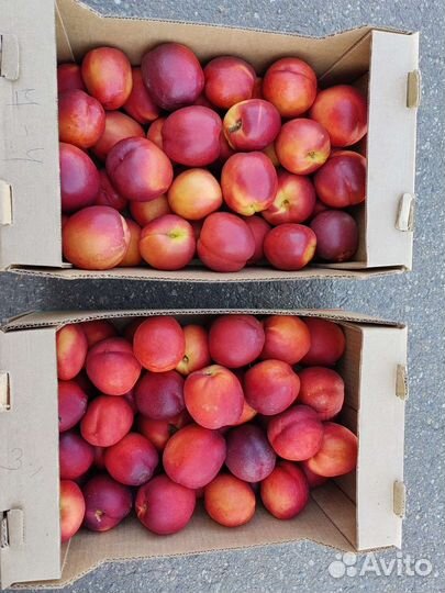 Продаются персики