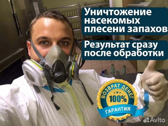 Уничтожение тараканов/клопов/Дезинсекция