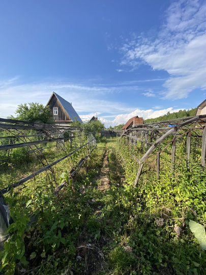 Дача 28 м² на участке 12 сот.