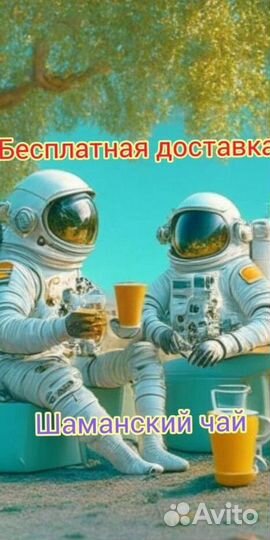 Чай пуэр « Космос шаманов » шмн14124